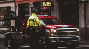 5 Best Insider Tricks to Help Wild-Animal 1